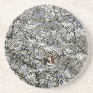 Mirabelle Blossom Sandstone Coasters