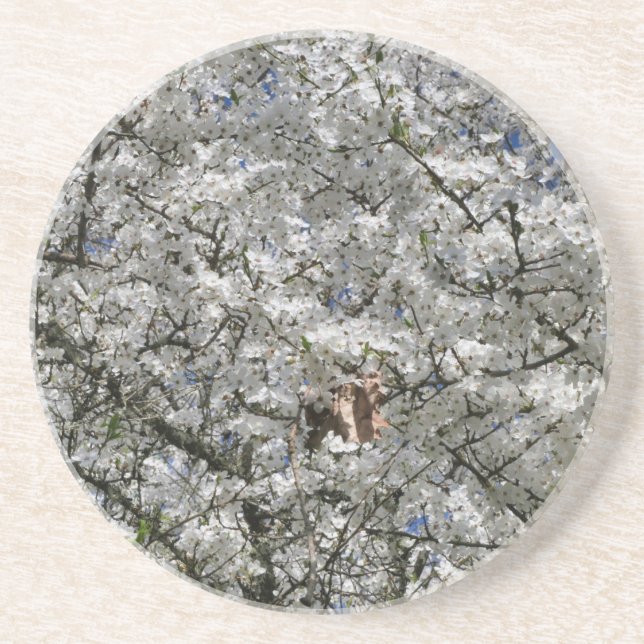 Mirabelle Blossom Sandstone Coasters (Front)