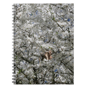 Mirabelle Blossom Spiral Notebook