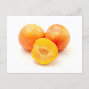 Mirabelle Plum Postcard