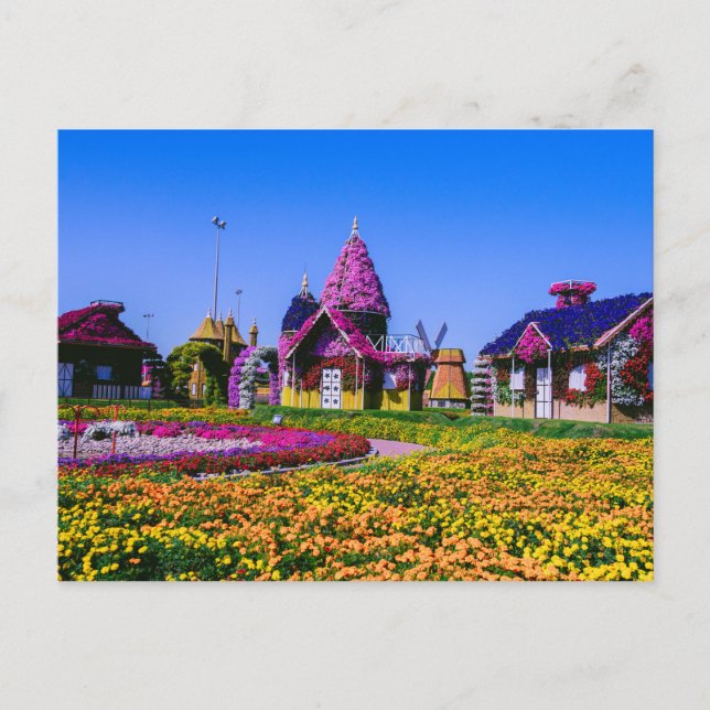 Miracle Garden, Dubai floral houses Postcard (Front)