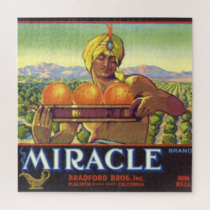 Miracle Genie Illustrated 20x20 Jigsaw Puzzle