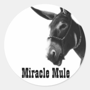 Miracle Mule Stickers