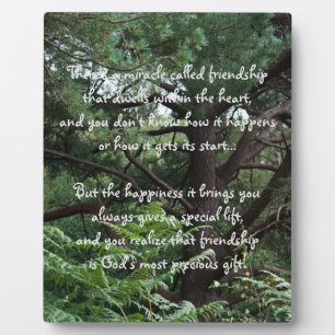 Miracle of friendship Poem Plaque