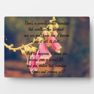 Miracle of friendship Poem Plaque