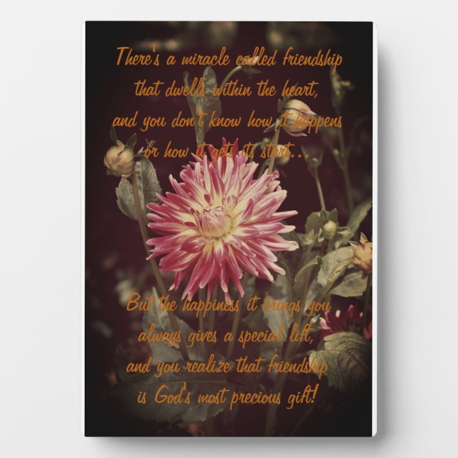 Miracle of friendship Poem Plaque (Front)