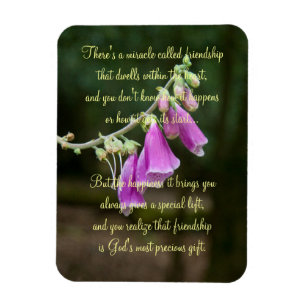 Miracle Of Friendship Poem Plaque Magnet