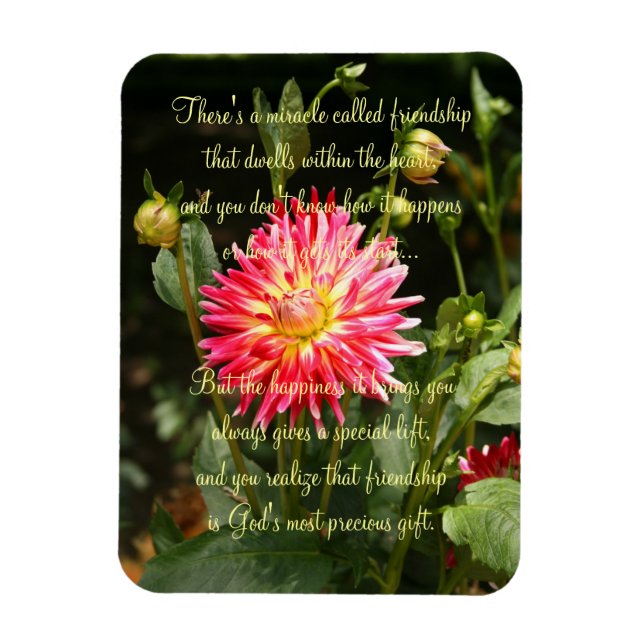 Miracle Of Friendship Poem Plaque Magnet (Vertical)