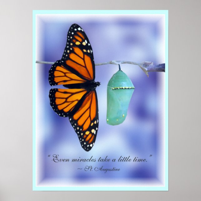 Miracle Print (Front)