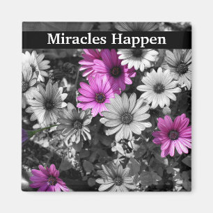 Miracles Happen Daisies Inspirational Magnet