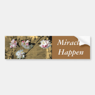 Miracles Happen Motivational Bumper Sticker