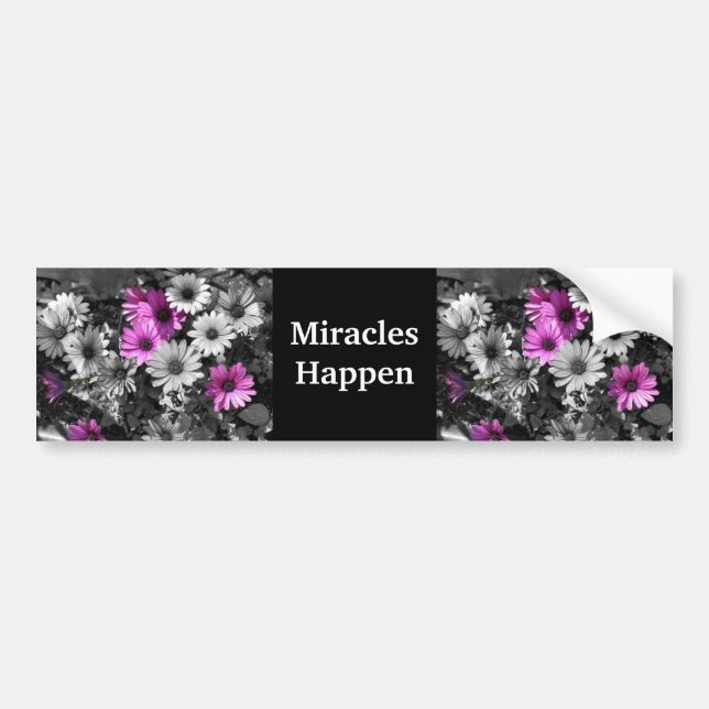 Miracles Happen Purple Daisies Bumper Sticker (Front)