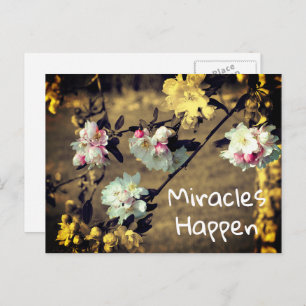 Miracles Happen Spring Blossoms Inspirational Post Postcard
