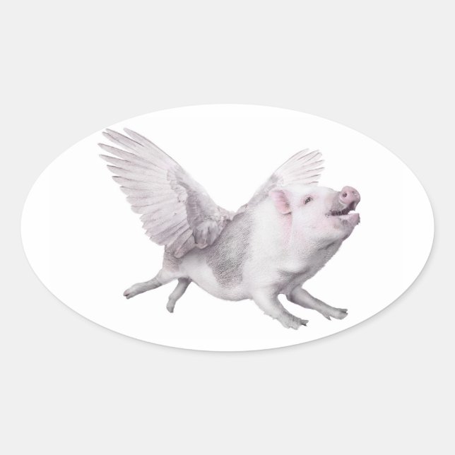 Miracles Possibility Joy Flying Pigs When Pigs Fly Oval Sticker (Front)