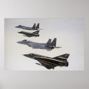Mirage III's and F-18 Hornets Poster