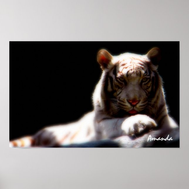 Mirage White Tiger Art Poster (Front)