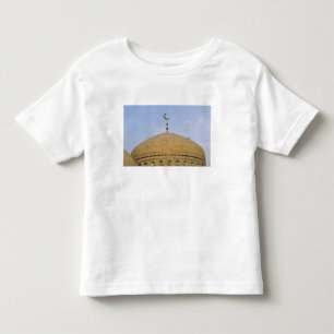 Mirjaniyya Madrasa, Baghdad, Iraq Toddler T-Shirt