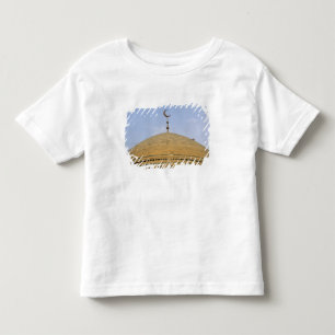 Mirjaniyya Madrasa, Baghdad, Iraq Toddler T-Shirt