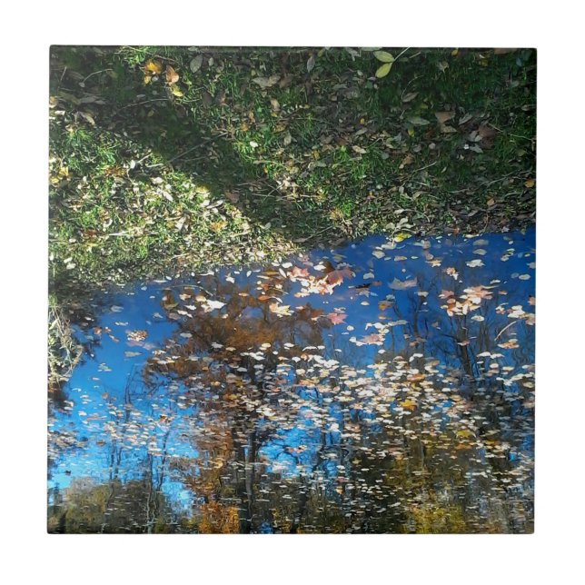 Miroir Mirror Autumn Tile (Front)