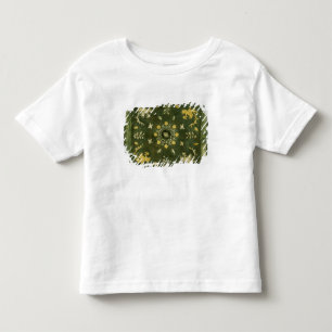 Mirror, bronze with lacquered back toddler T-Shirt