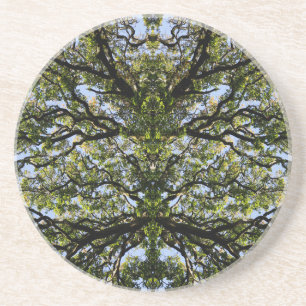Mirror image trees coaster