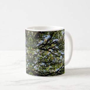 Mirror image trees coffee mug