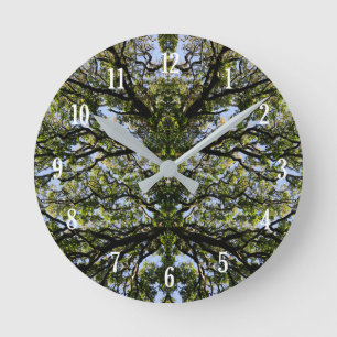 Mirror image trees round clock