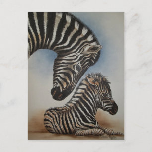 Mirror Image (zebra) Accessories Postcard