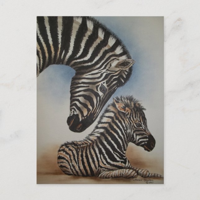 Mirror Image (zebra) Accessories Postcard (Front)