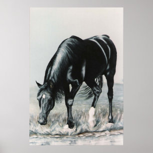 Mirror, Mirror.....print Poster