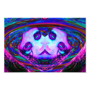 Mirror Reflection Photo Print