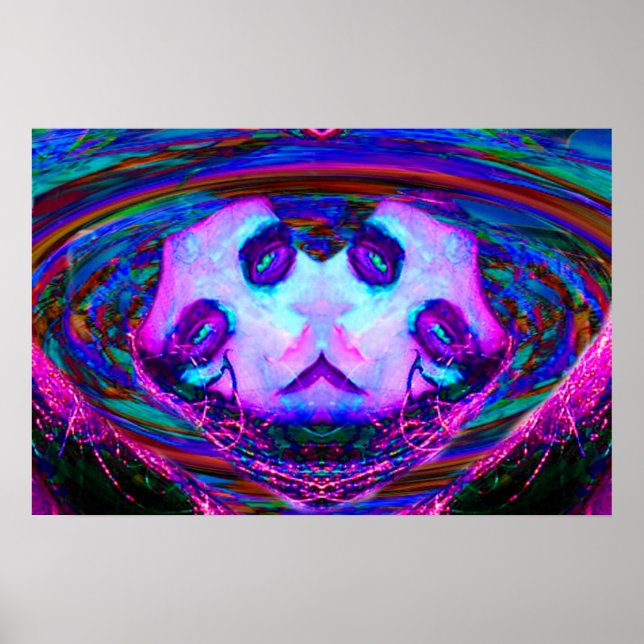 Mirror Reflection Poster (Front)