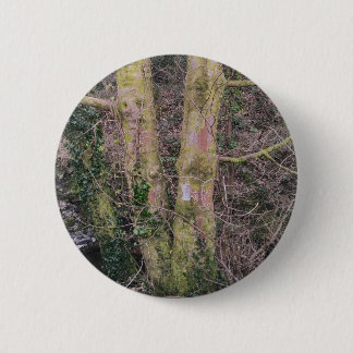 Mirror trees badge