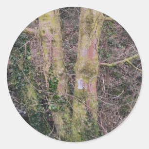 Mirror Trees Sticker