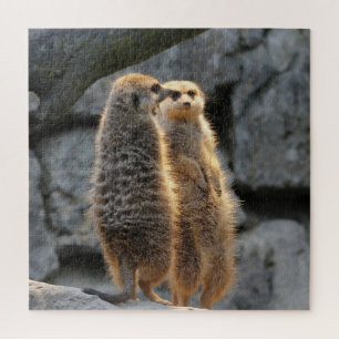 Mirrored Meerkats Jigsaw Puzzle