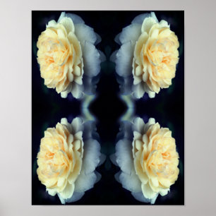 Mirrored Yellow Rose In Bloom Abstract  Poster