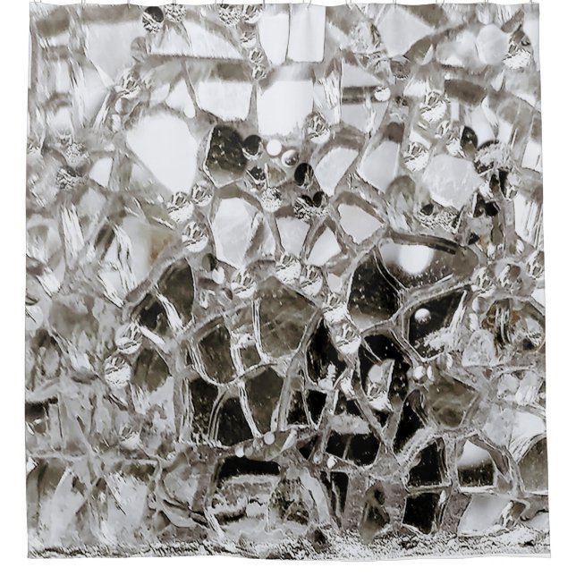 Mirrors and Glass Shower Curtain (Front)