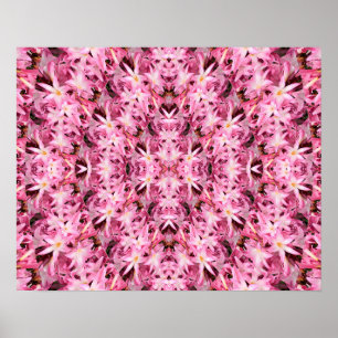 Mirrors of Amaryllis.... Poster