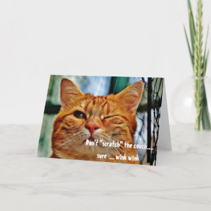 Misbehaving Cat Funny Humour Winking Greeting Card