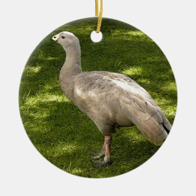 Miscellaneous - Cape Barren Goose  Shadows & Light Ceramic Ornament (Front)