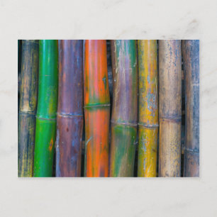 Miscellaneous - Chromatic Bamboos Pattern Postcard