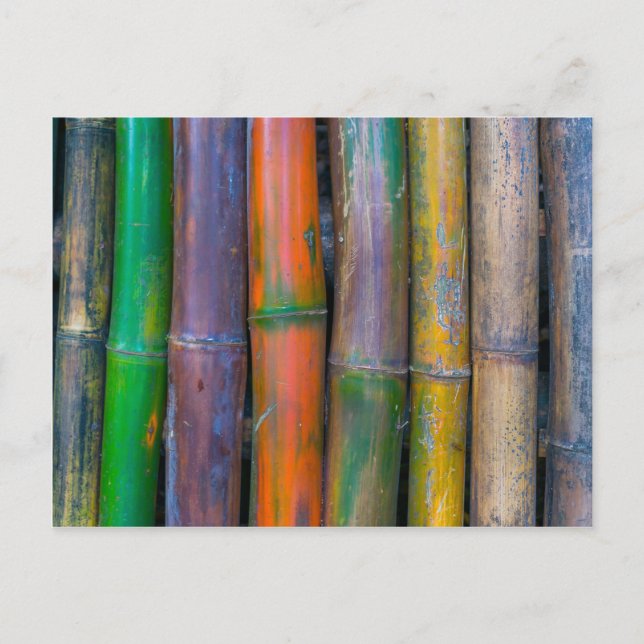 Miscellaneous - Chromatic Bamboos Pattern Postcard (Front)