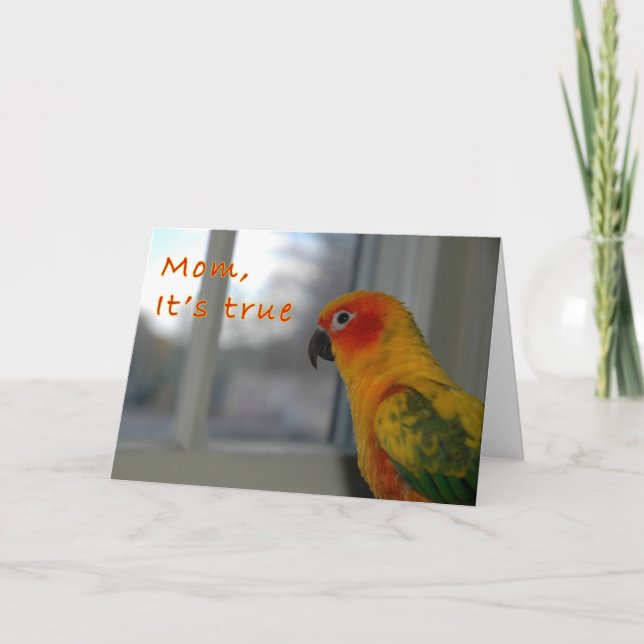 Mischief Card (Front)