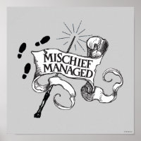 Mischief Managed