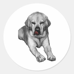 Mischief Mark in Red Classic Round Sticker