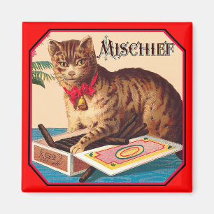 Mischief the Cat Magnet