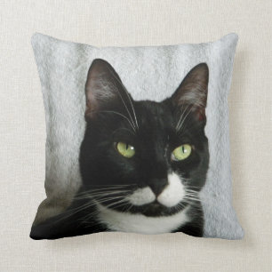 Mischief Tuxedo Cat Pillow