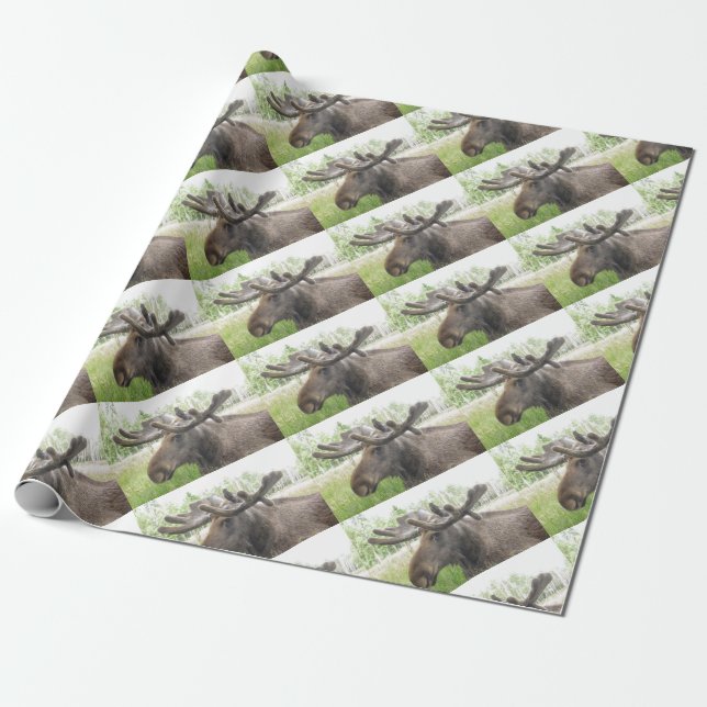 Mischievious Moose Wrapping Paper (Unrolled)