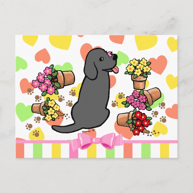 Mischievous Black Labrador Postcard (Front)