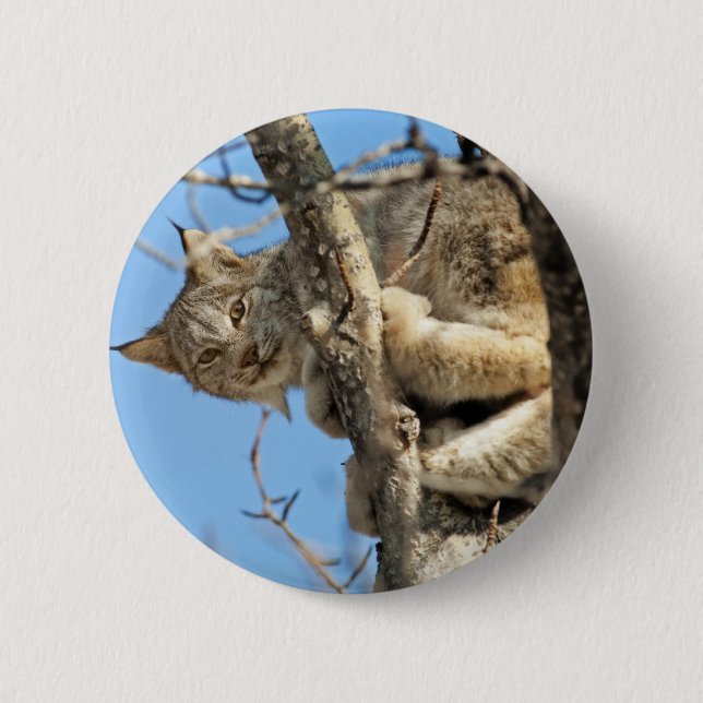 Mischievous Lynx 6 Cm Round Badge (Front)